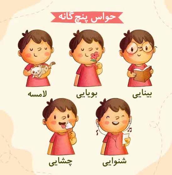 بازی حواس پنج‌گانه